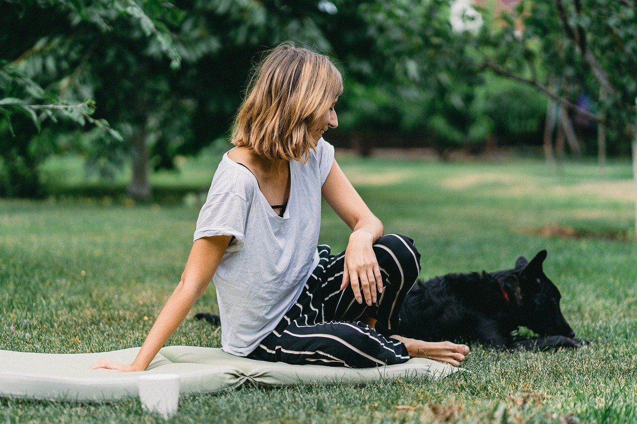 Pixabay, dog and owner on grass